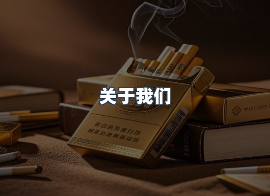 专业团队